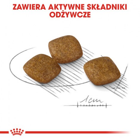 Royal Canin Mini Relax Care karma sucha dla psów dorosłych, ras małych, narażonych na działanie stresu 3kg - 4