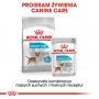 Royal Canin Mini Urinary Care karma sucha dla psów dorosłych, ras małych, ochrona dolnych dróg moczowych 1kg - 6
