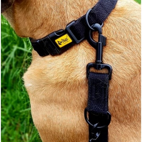 Dingo Smycz taśma przedłużana z taśmy bawełnianej 2,5cm/120-220cm czarna - 2
