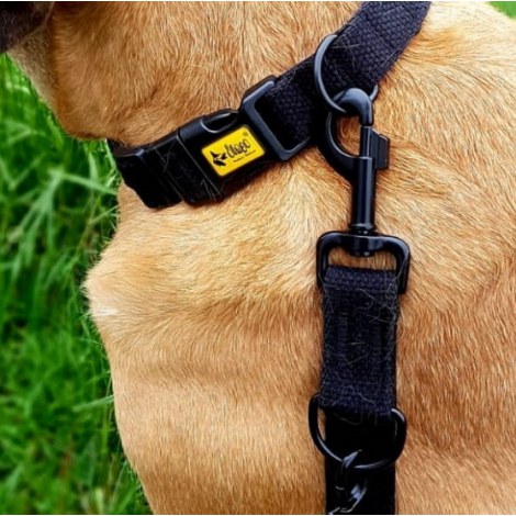 Dingo Obroża regulowana z taśmy bawełnianej 3,0x60cm czarna - 2