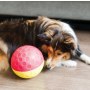 Nina Ottosson Dog Treat Tumble Large 13cm - gra edukacyjna [67327] - 6