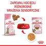 Royal Canin Kitten Sterilised karma mokra w galaretce dla kociąt od 6 do 12 miesiąca życia, sterylizowanych saszetka 85g - 5