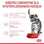 Royal Canin Kitten Sterilised karma mokra w galaretce dla kociąt od 6 do 12 miesiąca życia, sterylizowanych saszetka 85g - 3
