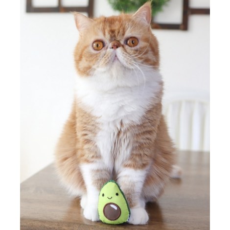 Petstages Lil' Avocato dla kota [PS67840] - 5