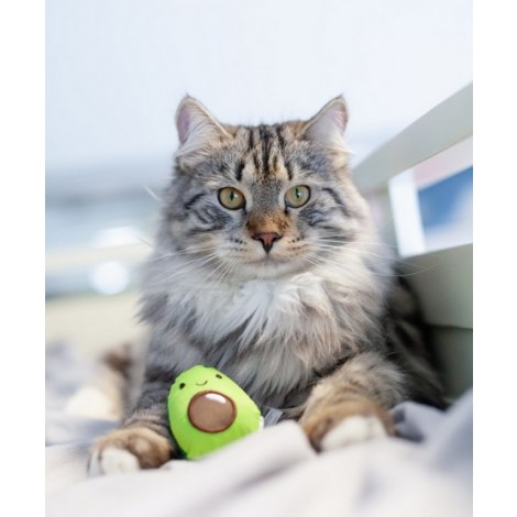 Petstages Lil' Avocato dla kota [PS67840] - 6