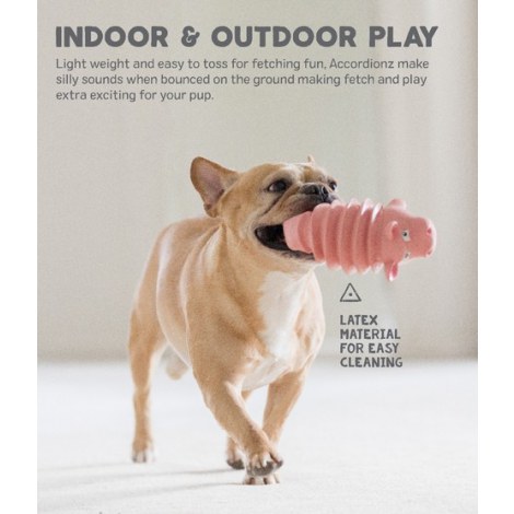 Outward Hound Accordionz Świnka [68092] - 4