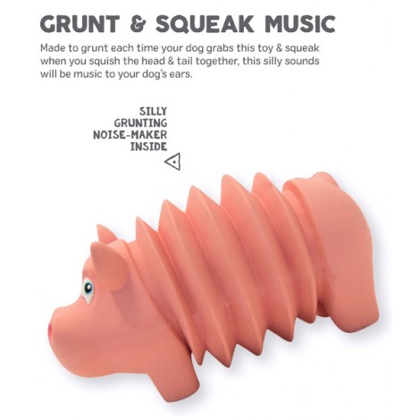 Outward Hound Accordionz Świnka [68092] - 2