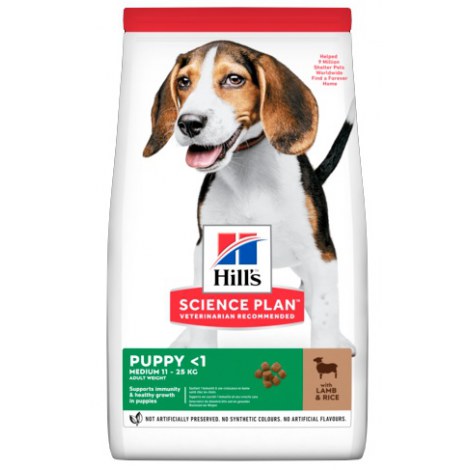 Hill's Science Plan Puppy Medium Jagnięcina & Ryż 14kg