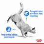 Royal Canin Light Weight Care karma sucha dla kotów dorosłych, utrzymanie prawidłowej masy ciała 3kg - 4