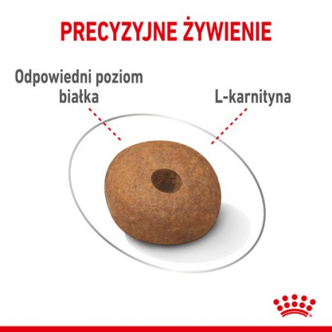Royal Canin Medium Light Weight Care karma sucha dla psów dorosłych, ras średnich tendencją do nadwagi 10kg - 5
