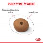 Royal Canin Medium Light Weight Care karma sucha dla psów dorosłych, ras średnich tendencją do nadwagi 10kg - 6