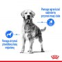 Royal Canin Medium Light Weight Care karma sucha dla psów dorosłych, ras średnich tendencją do nadwagi 10kg - 4