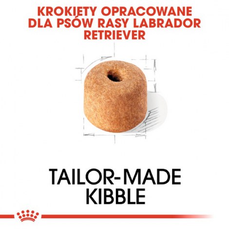 Royal Canin Labrador Retriever Adult karma sucha dla psów dorosłych rasy labrador retriever 12kg - 4