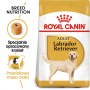 Royal Canin Labrador Retriever Adult karma sucha dla psów dorosłych rasy labrador retriever 12kg - 2