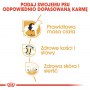 Royal Canin Labrador Retriever Adult karma sucha dla psów dorosłych rasy labrador retriever 12kg - 6