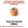 Royal Canin Labrador Retriever Adult karma sucha dla psów dorosłych rasy labrador retriever 12kg - 5