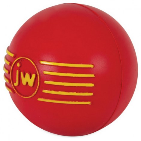 JW Pet iSqueak Ball Medium [32124D] - 3