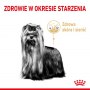 Royal Canin Yorkshire Terrier Adult 8+ karma sucha dla psów starszych rasy yorkshire terrier 3kg - 5