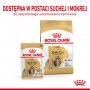 Royal Canin Shih Tzu Adult karma mokra dla psów dorosłych rasy shih tzu saszetka 85g - 5