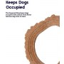 Petstages DogWood Ring small PS67820 - 5