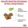 Royal Canin Kitten karma sucha dla kociąt od 4 do 12 miesiąca życia 2kg - 6