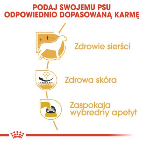Royal Canin West Highland White Terrier Adult karma sucha dla psów dorosłych rasy west highland white terrier 1,5kg - 5