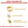 Royal Canin West Highland White Terrier Adult karma sucha dla psów dorosłych rasy west highland white terrier 1,5kg - 6