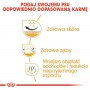 Royal Canin Shih Tzu Adult karma sucha dla psów dorosłych rasy shih tzu 1,5kg - 6