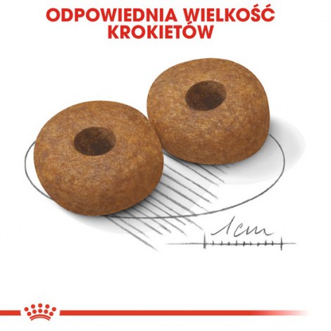 Royal Canin Medium Ageing 10+ karma sucha dla psów dojrzałych po 10 roku życia, ras średnich 15kg - 5