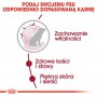 Royal Canin Medium Ageing 10+ karma sucha dla psów dojrzałych po 10 roku życia, ras średnich 15kg - 5