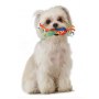 Petstages Gryzak chłodzący z supełkami mini PS139 - 3