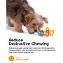 Petstages Mini Gumowe kosteczki PS243 - 4