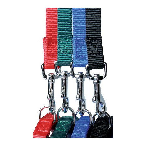 Zolux Smycz Taśma 1,2m 25mm zielona [463625V] - 2