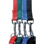 Zolux Smycz Taśma 1,2m 25mm zielona [463625V] - 3
