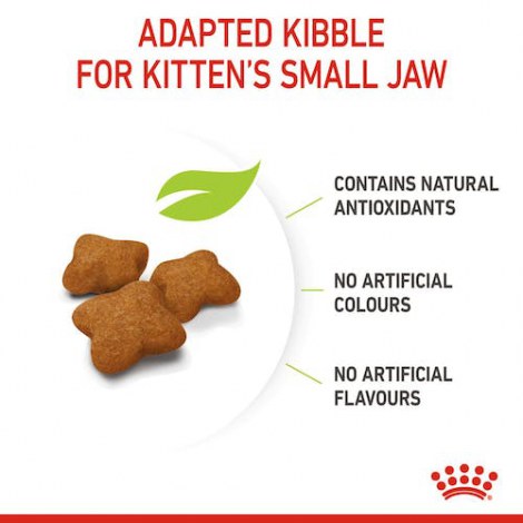 Royal Canin Kitten Sterilised karma sucha dla kociąt od 4 do 12 miesiąca życia, sterylizowanych 400g - 4