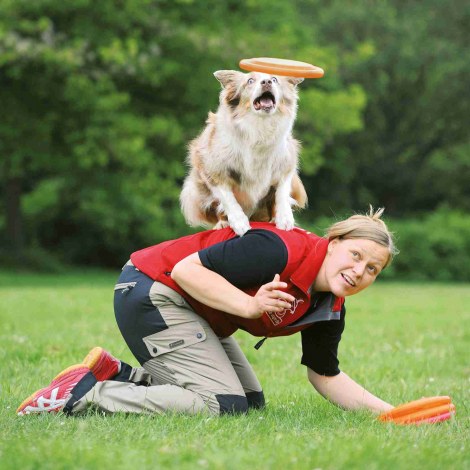TRIXIE Dysk dla psa "Dog Activity", średnica 19 cm [TX-33561] - 4