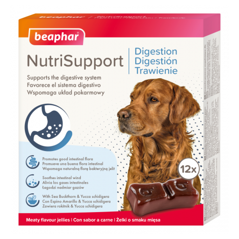 BEAPHAR NUTRISUPPORT TRAWIENIE 12 szt. - żelki wspomagające trawienie dla psów