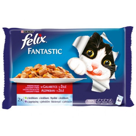 Felix Fantastic Wybór Mięs (królik+jagnięcina) w galaretce saszetka 4x100g